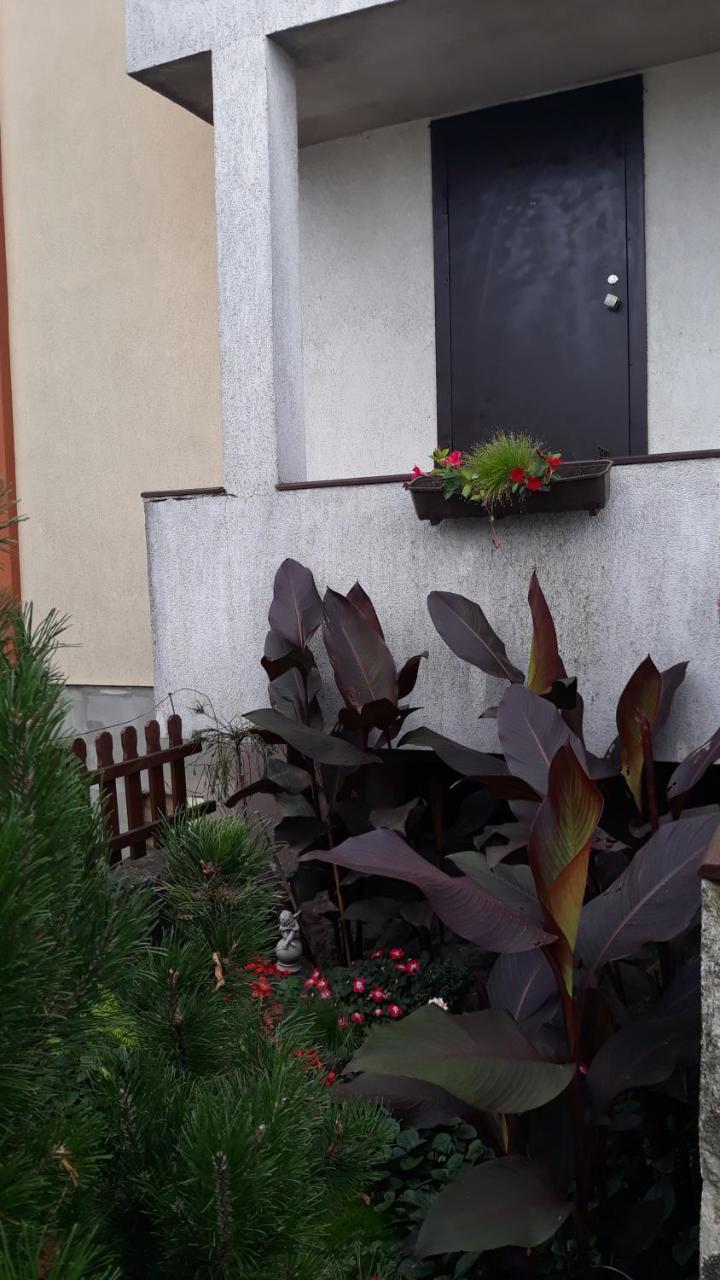 Sauliaus Apartamentai Panevėžys 外观 照片